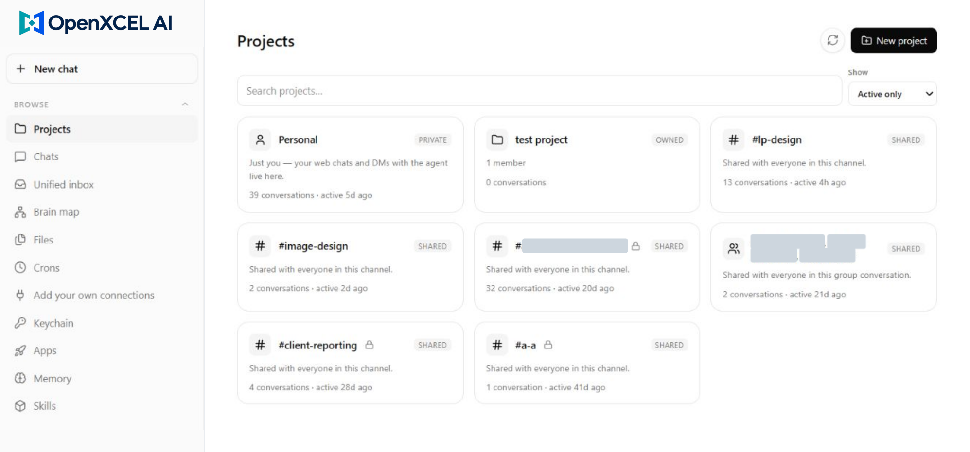 Branding-adapted OpenXCEL AI Projects view with selected private details masked